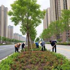 世界杯官网 兴平市道路绿化工程公司